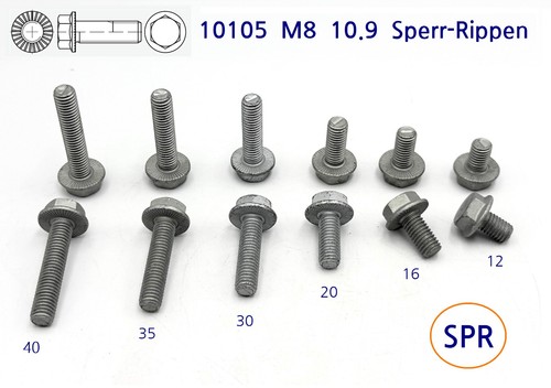 Bundschraube m8x12 bis - bis, m8x40